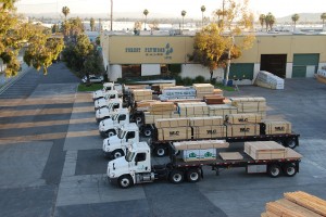 forest plywood parking lot