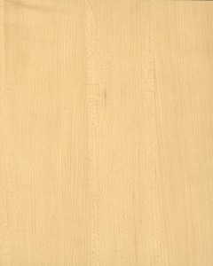 W169