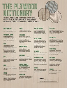 Infographic of plywood definitions