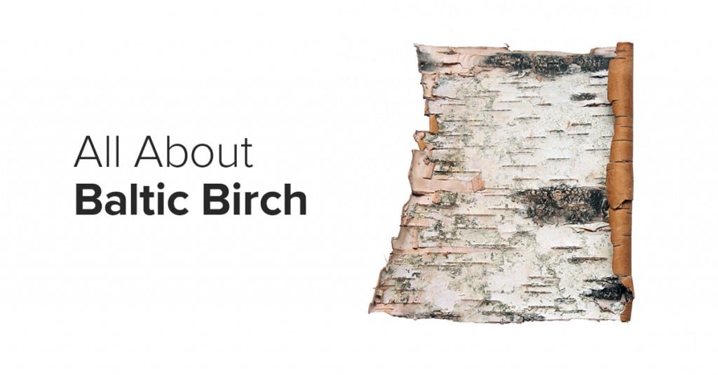 All About Baltic Birch Plywood Forest Plywood